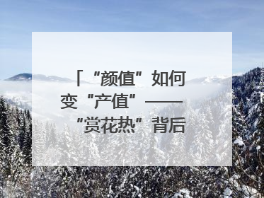 “颜值”如何变“产值”——“赏花热”背后的产业图谱