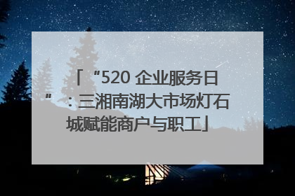 “520 企业服务日”：三湘南湖大市场灯石城赋能商户与职工