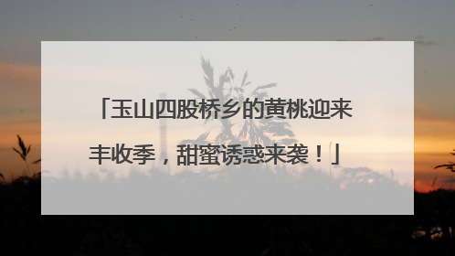 玉山四股桥乡的黄桃迎来丰收季，甜蜜诱惑来袭！