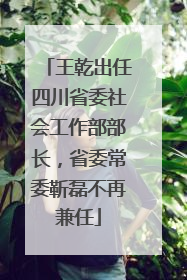 王乾出任四川省委社会工作部部长，省委常委靳磊不再兼任
