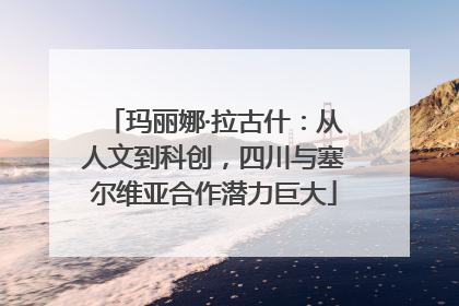 玛丽娜·拉古什：从人文到科创，四川与塞尔维亚合作潜力巨大