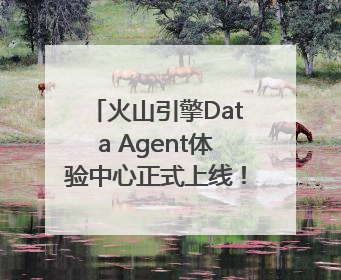 火山引擎Data Agent体验中心正式上线！企业级AI数据专家触手可及