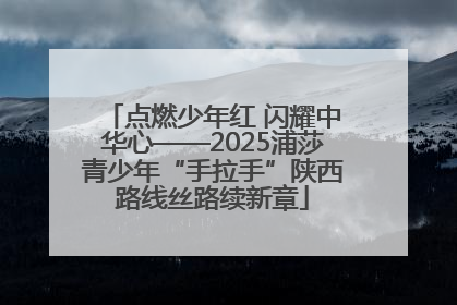 点燃少年红 闪耀中华心——2025浦莎青少年“手拉手”陕西路线丝路续新章