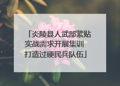炎陵县人武部紧贴实战需求开展集训 打造过硬民兵队伍