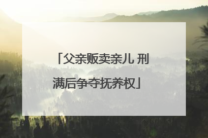 父亲贩卖亲儿 刑满后争夺抚养权