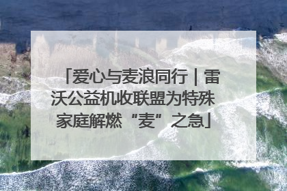 爱心与麦浪同行｜雷沃公益机收联盟为特殊家庭解燃“麦”之急
