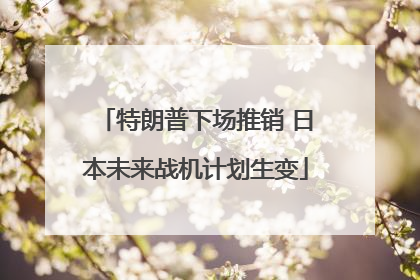 特朗普下场推销 日本未来战机计划生变