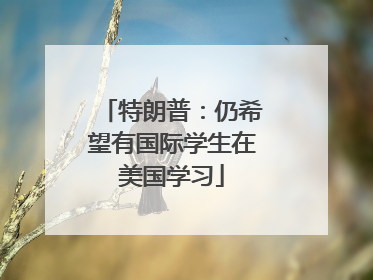 特朗普：仍希望有国际学生在美国学习