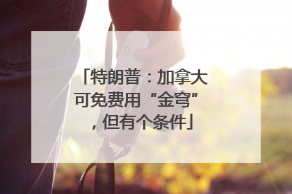 特朗普：加拿大可免费用“金穹”，但有个条件