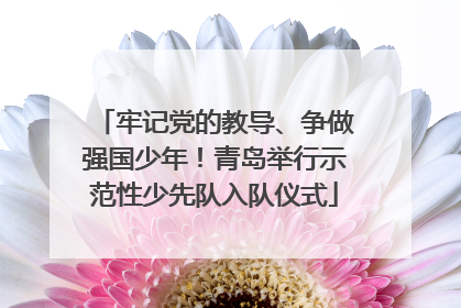 牢记党的教导、争做强国少年！青岛举行示范性少先队入队仪式