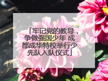 牢记党的教导，争做强国少年 成都成华特校举行少先队入队仪式