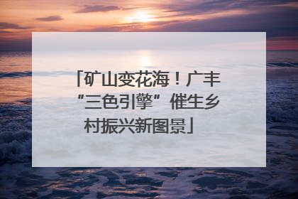矿山变花海！广丰“三色引擎”催生乡村振兴新图景