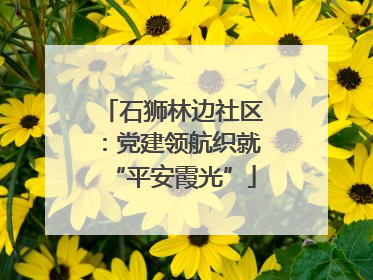 石狮林边社区：党建领航织就“平安霞光”