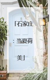 石家庄：当夏荷美