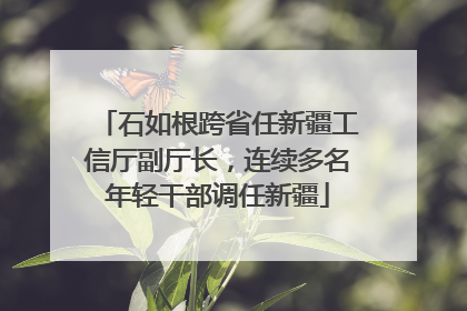 石如根跨省任新疆工信厅副厅长，连续多名年轻干部调任新疆