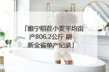 睢宁稻茬小麦平均亩产806.2公斤 刷新全省单产纪录