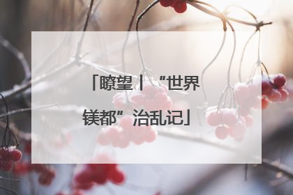 瞭望丨“世界镁都”治乱记