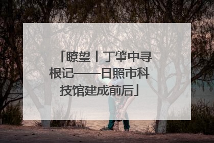 瞭望丨丁肇中寻根记——日照市科技馆建成前后