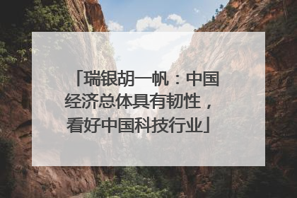 瑞银胡一帆：中国经济总体具有韧性，看好中国科技行业