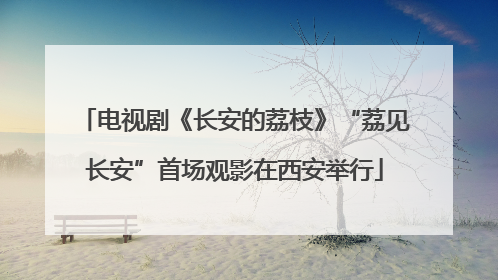 电视剧《长安的荔枝》“荔见长安”首场观影在西安举行