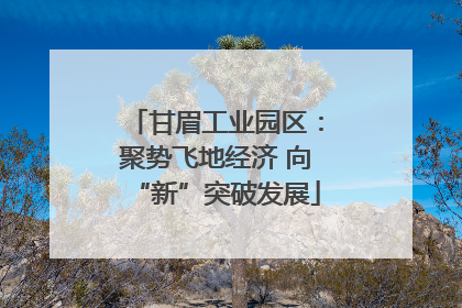 甘眉工业园区：聚势飞地经济 向“新”突破发展