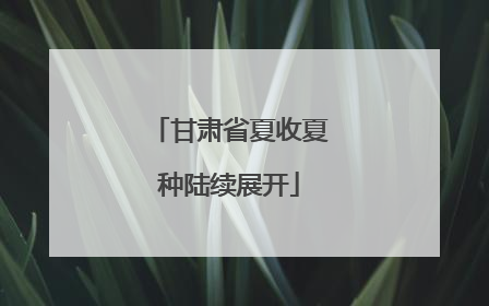 甘肃省夏收夏种陆续展开