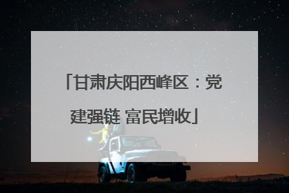 甘肃庆阳西峰区：党建强链 富民增收
