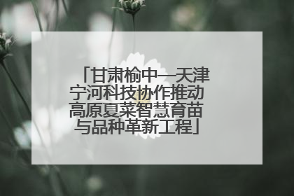 甘肃榆中—天津宁河科技协作推动高原夏菜智慧育苗与品种革新工程