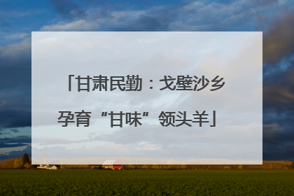 甘肃民勤：戈壁沙乡孕育“甘味”领头羊