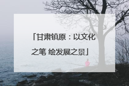 甘肃镇原：以文化之笔 绘发展之景