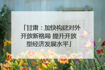 甘肃：加快构建对外开放新格局 提升开放型经济发展水平