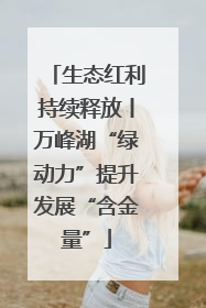 生态红利持续释放丨万峰湖“绿动力”提升发展“含金量”