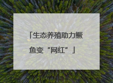 生态养殖助力鳜鱼变“网红”