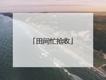 田间忙抢收