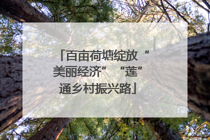 百亩荷塘绽放“美丽经济”“莲”通乡村振兴路