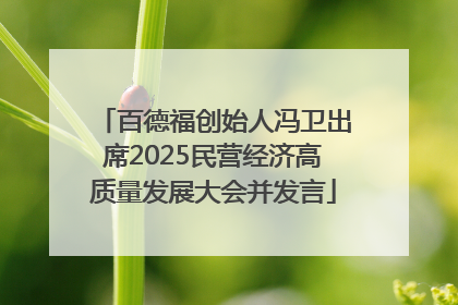 百德福创始人冯卫出席2025民营经济高质量发展大会并发言