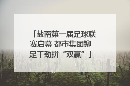 盐南第一届足球联赛启幕 都市集团铆足干劲拼“双赢”