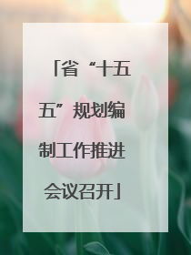 省“十五五”规划编制工作推进会议召开