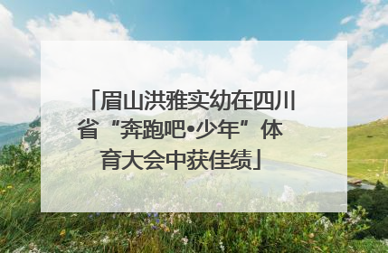 眉山洪雅实幼在四川省“奔跑吧•少年”体育大会中获佳绩