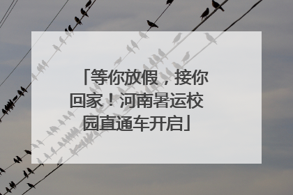 等你放假，接你回家！河南暑运校园直通车开启