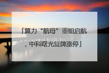 算力“航母”重组启航，中科曙光复牌涨停