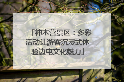 神木营景区：多彩活动让游客沉浸式体验边屯文化魅力
