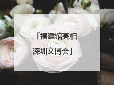 福建馆亮相深圳文博会