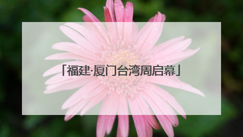 福建·厦门台湾周启幕