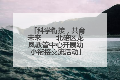 科学衔接，共育未来——北碚区龙凤教管中心开展幼小衔接交流活动