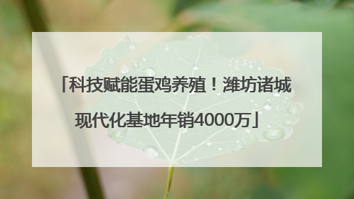 科技赋能蛋鸡养殖！潍坊诸城现代化基地年销4000万