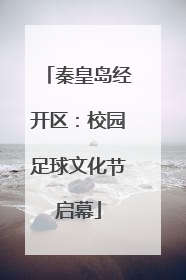 秦皇岛经开区：校园足球文化节启幕