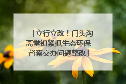 立行立改！门头沟斋堂镇紧抓生态环保督察交办问题整改