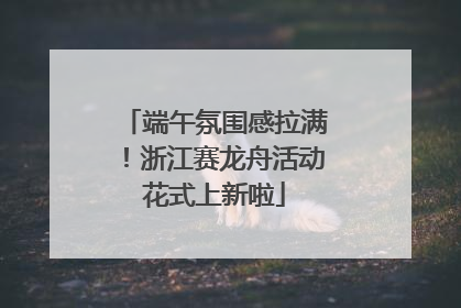端午氛围感拉满！浙江赛龙舟活动花式上新啦