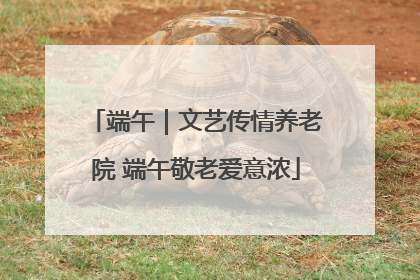 端午｜文艺传情养老院 端午敬老爱意浓